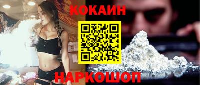 мдпв Кингисепп