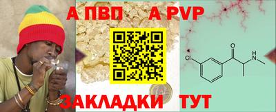 мдпв Кингисепп