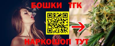 мдпв Кингисепп