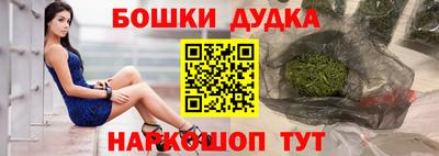 мдпв Кингисепп