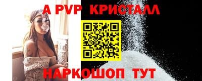 мдпв Кингисепп
